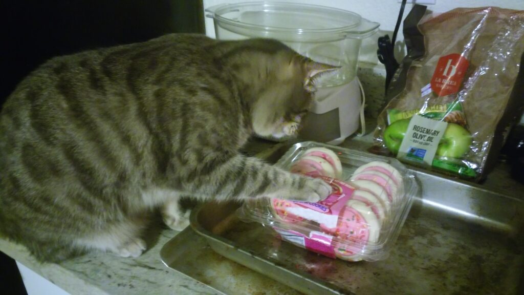 cat batting at box of cookies