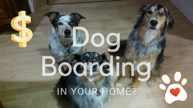 how much does a dog boarding business make