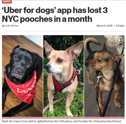 News article about dogs lost on walks