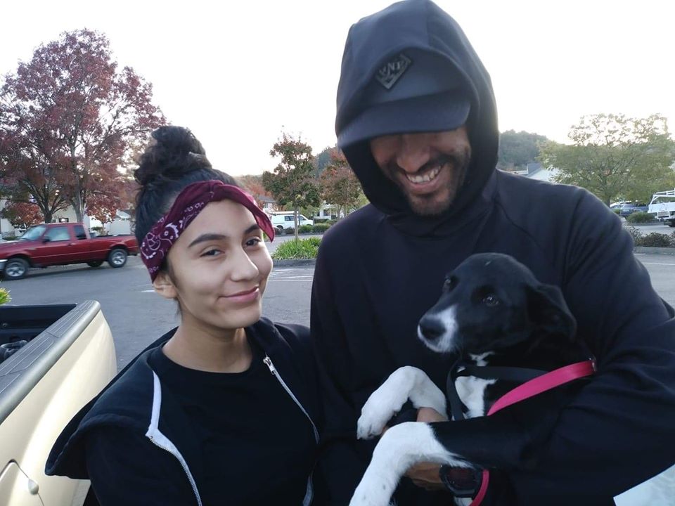 McNabb pup reunited with owners