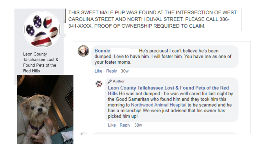 social media post saying dog is dumped