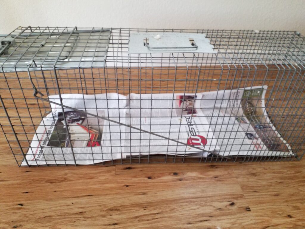 Humane Cat Traps & Trapping Instructions