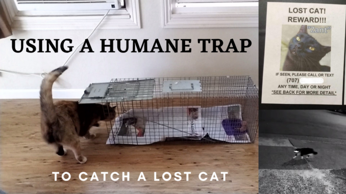 https://firststreetpets.com/wp-content/uploads/2020/11/using-a-humane-trap-678x381.png
