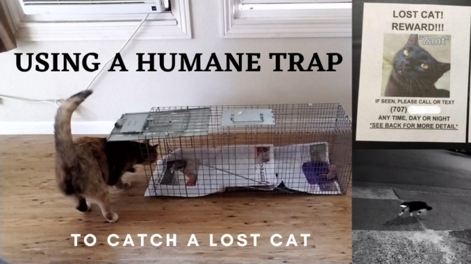 Best Humane Cat Traps - Lost Pet Research and Recovery