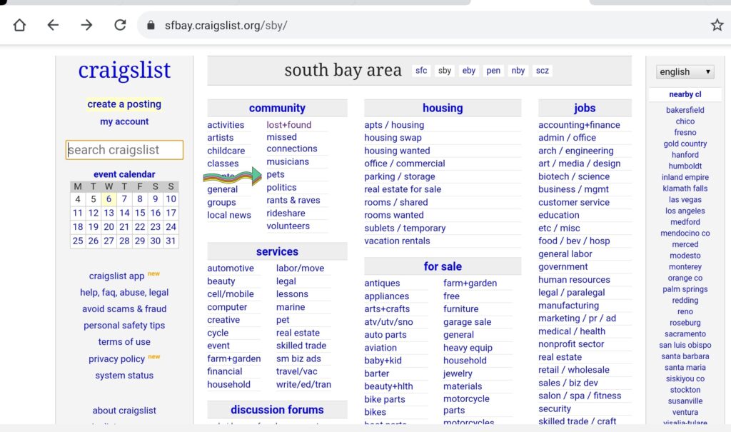 Using Craigslist to find a lost pet First Street Pets