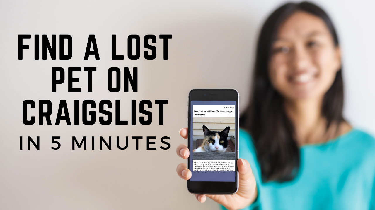 Find a lost pet on Craigslist in 5 minutes First Street Pets