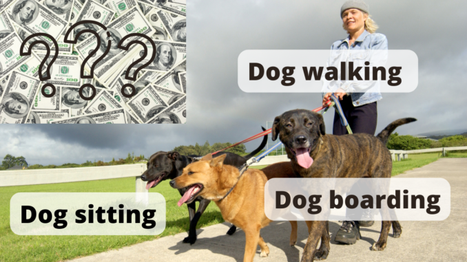 how much money do dog kennels make