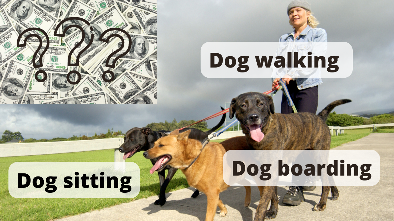 how much does it cost to start a dog boarding business