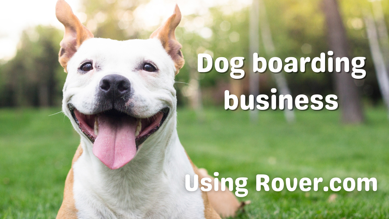 is dog boarding a good business