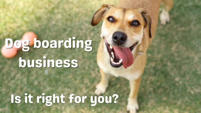 is dog boarding a profitable business