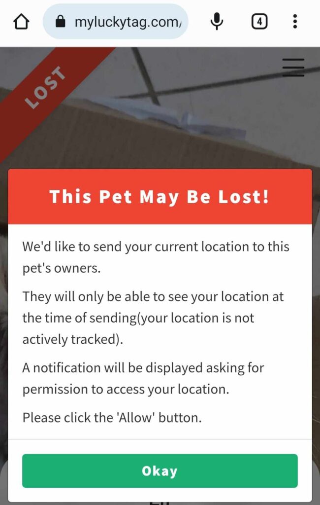 Ring Pet Tag Places QR Code for Easier Tracking: No GPS or