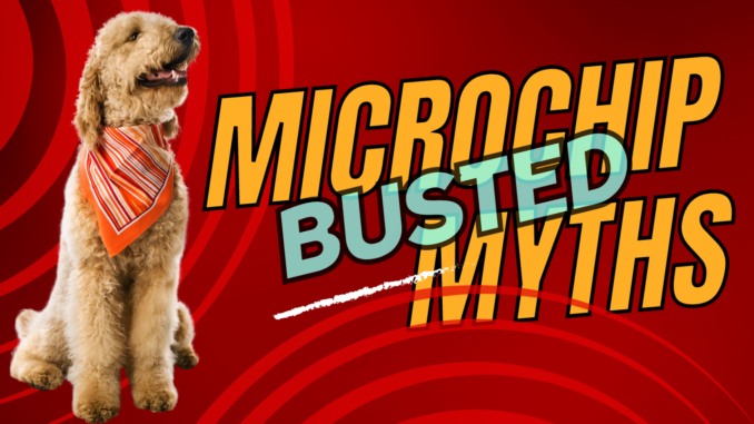 V. Choosing the Right Microchip for Your Dog