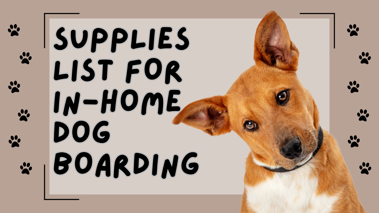 Dog boarding shop in your home