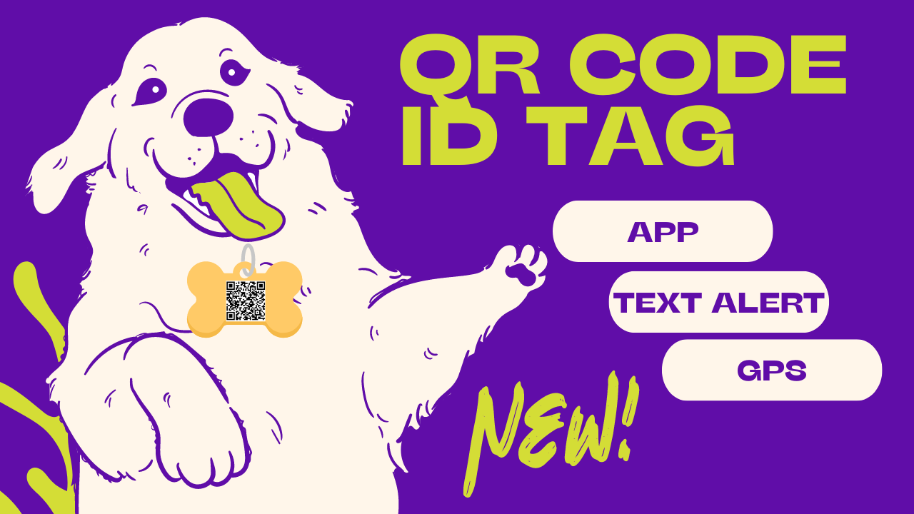 Animal ID: the QR code tag with lost dog found notifications - First ...